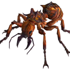 Fire_ant